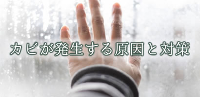 カビが発生する原因と対策